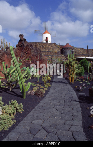 Cesare Manriques Cactus Garden Jardin du cactus gardens Lanzarote isole Canarie Foto Stock