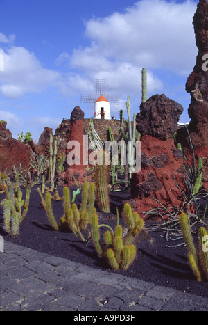 Cesare Manriques Cactus Garden Jardin du cactus gardens Lanzarote isole Canarie Foto Stock