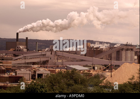 Campbell River, BC, Isola di Vancouver, British Columbia, Canada - Elk Falls Pulp & Paper Mill, l'inquinamento atmosferico e delle emissioni Foto Stock