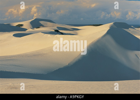 Le dune di sabbia in luce dorata De Hoop Riserva Naturale di Western Cape Sud Africa Foto Stock