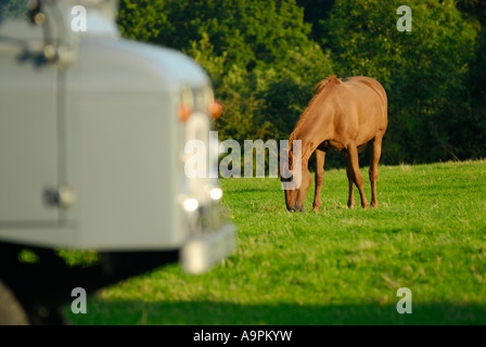 Storico degli anni sessanta Landrover Serie 2b 110 Comando avanzamento NXC Diesel511D del Dunsfold Collection su un campo con un cavallo al pascolo Foto Stock