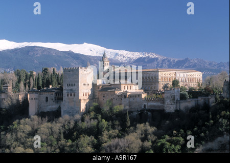 Vista dell'Alhambra Palace dal Mirador de San Nicolas Granada Andalusia Spagna Foto Stock