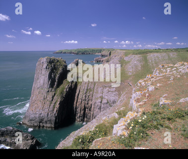 Lydstep Pembrokeshire Parco Nazionale della Costa del Pembrokeshire Wales Foto Stock
