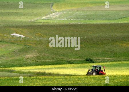 Il trattore lavora tra i fiori selvatici nel Piano Grande, Sibillini National Pk, Le Marche Italia Foto Stock