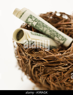 Arrotolate le fatture del dollaro nel nido Foto Stock