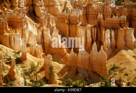 Bryce Canyon USA Utah Foto Stock