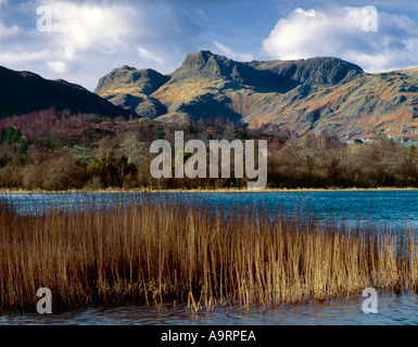 Un ventoso e tempestoso autunno il giorno guardando attraverso Elterwater al Langdale Pikes in Autunno colori Foto Stock