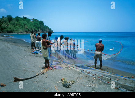 Pescatori che trasportano nella loro rete dalla costa vicino alla capitale Roseau sull'isola di Dominica nelle Indie Occidentali, Caraibi. Foto Stock