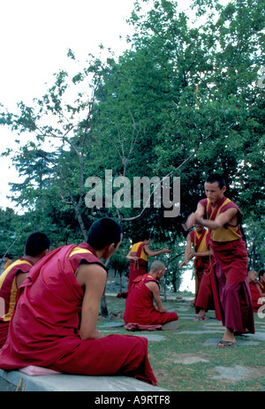 I monaci tibetani della tradizione Gelug discutono tra loro, una parte importante della loro educazione buddista. McLeod Ganj, N.India Foto Stock