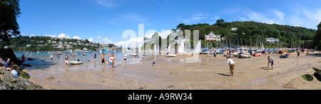 Panorama delle attività in spiaggia a Small's Cove in una soleggiata giornata estiva. Salcombe UK Foto Stock