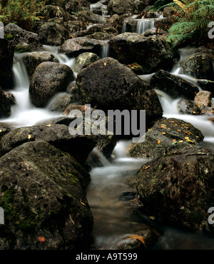 Flusso rocciosa che corre lungo il fianco della montagna di Ben Nevis al Glen Nevis Scozia Scotland Foto Stock