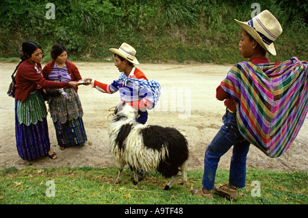 Maya donne acquistare ram da due giovani uomini lungo l'autostrada nelle highlands centrali del Guatemala Foto Stock
