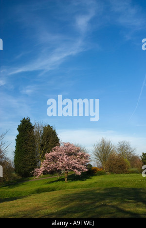 Città paesaggistico parco, Harlow, Essex Foto Stock