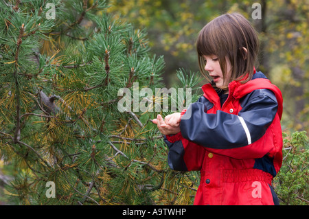 Ragazza in una natura naturbarnehage vivaio sensazione di aghi di pino in Norvegia Foto Stock