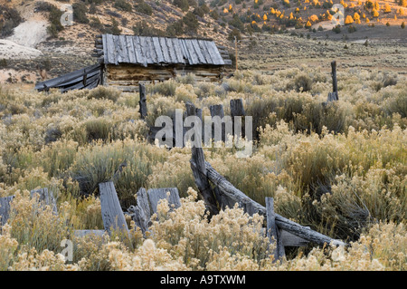 Casa abbandonata nel paese sagebrush Utah Foto Stock