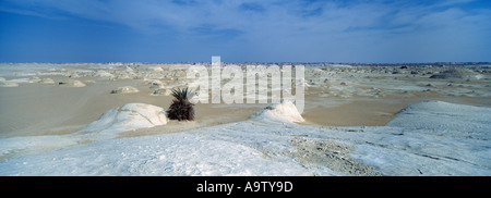 Panorama orizzontale di White Desert Foto Stock