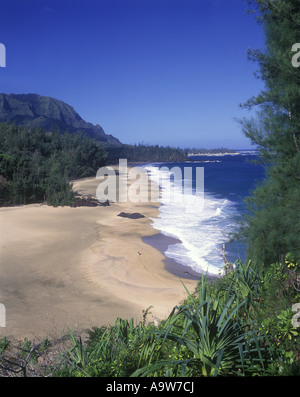 New SCENIC 5 posti Spiaggia Lumahai HANALEI BAY COSTA KAUAI HAWAII USA Foto Stock