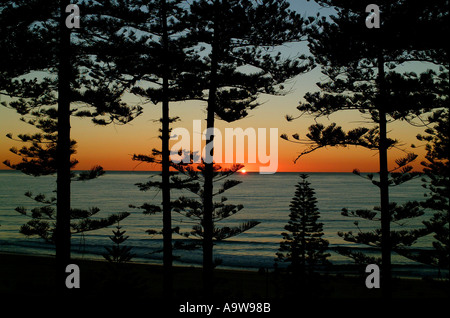 Alba sul faggio Manly, North Shore Sydney Foto Stock