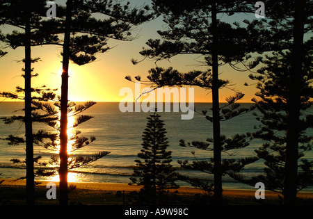 Alba sul faggio Manly, North Shore Sydney Foto Stock