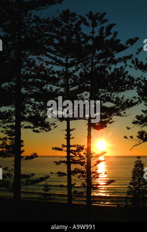 Alba sul faggio Manly, North Shore Sydney Foto Stock