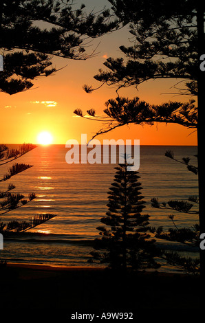 Alba sul faggio Manly, North Shore Sydney Foto Stock