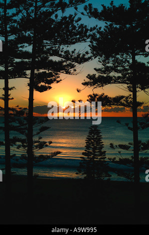 Sun rise in faggio Manly, North Shore Sydney Foto Stock