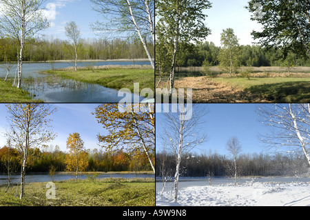 4 stagioni immagini - ricerca DENNIS MACDONALD 4 stagioni per una completa selezione di maggiori dimensioni delle singole immagini mostrate qui Foto Stock