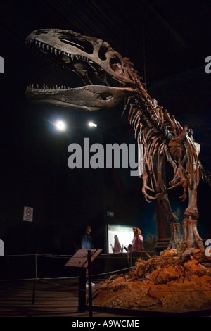 Tyrannosaurus Rex Foto Stock