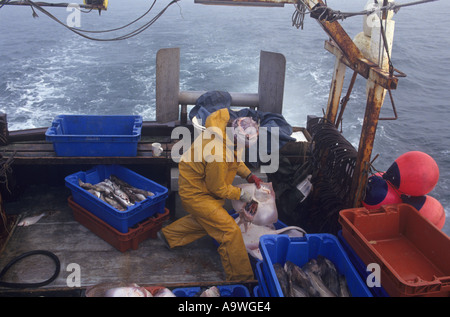 Mare del Nord offshore di pesca da Lowestoft, Suffolk, Regno Unito Foto Stock