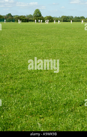 Partita di Cricket in Inghilterra Foto Stock