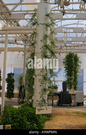 La NASA colture sperimentali, Epcot Center, Orlando, Florida Foto Stock