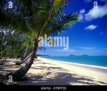 PALM COVE BEACH North Queensland coste AUSTRALIA Foto Stock