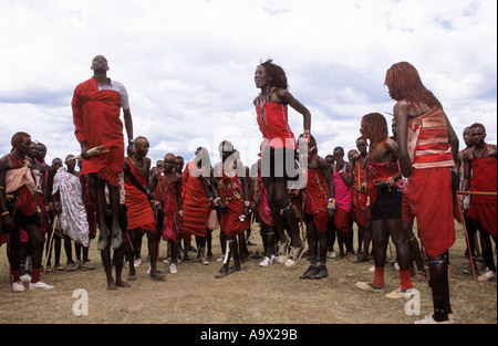 Lolgorian, Kenya. Siria Maasai Manyatta; gruppo di moran facendo il loro tradizionale 'ipid' jumping danza. Foto Stock