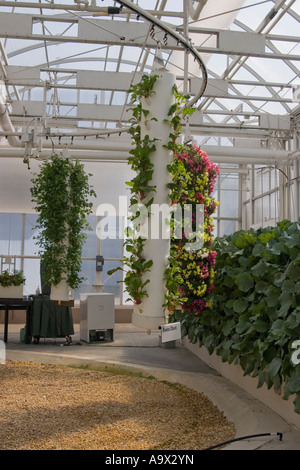 La NASA colture sperimentali, Epcot Center, Orlando, Florida Foto Stock