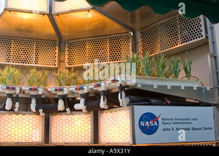 La NASA colture sperimentali, Epcot Center, Orlando, Florida Foto Stock