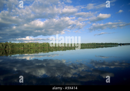 Mato Grosso Membro, Amazon, Brasile. Boscoso in riva al fiume con perfetto riflesso del cielo con le nuvole scudding e alberi nel fiume. Foto Stock