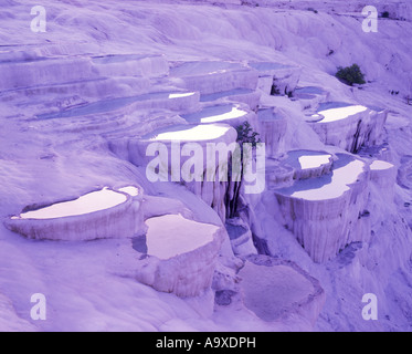 Le sorgenti termali piscine in travertino terrazze di calcare PAMUKKALE TURCHIA Foto Stock