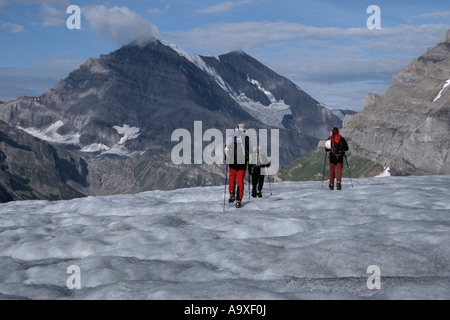 Gli alpinisti sul Kanderfirn, Svizzera, Alpi bernesi Foto Stock