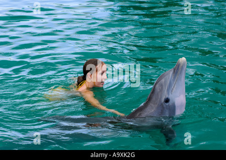 La donna a nuotare in acqua con uno Atlantic tursiope Tursiops truncatus Foto Stock