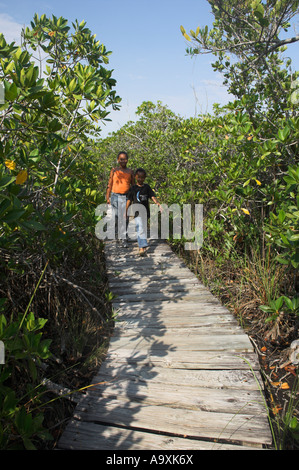 Due bambini su windy passerella in legno attraverso le mangrovie Parco nazionale Lucayan Grand Bahama Island Foto Stock