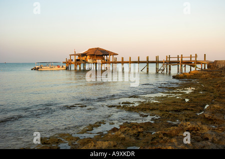 Il molo di legno con tetto di paglia con diving center piccola speranza Bay Lodge Creek fresca ANDROS Isola Bahamas Foto Stock