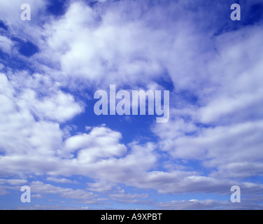 CLOUDSCAPE di bianco ad alta nuvole sulla pianura cielo blu Foto Stock