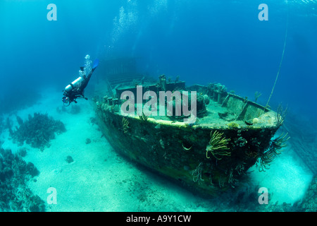 Naufragio della Willaurie un piede 150 isola freighter come visto nel suo ambiente sottomarino da parte di un subacqueo in immersione Foto Stock