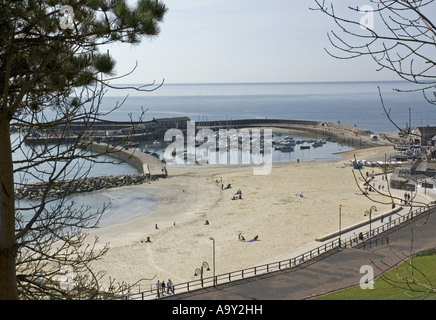 La zona del porto e il Cobb a Lyme Regis, Dorset, visto dal recentemente completato Langmoor Gardens Foto Stock