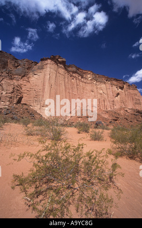 Entrata di pietra arenaria rossa canyon in Talampaya National Park, Argentina Foto Stock