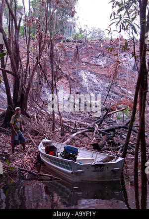 Granite e masterizza, la foresta pluviale amazzonica Amazzonia, Brasile Foto Stock