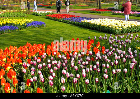 Giardini Keukenhof in Lisse Paesi Bassi Foto Stock