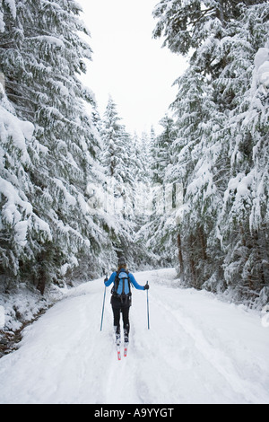 Femmina di cross country sciatore su strada innevata in Mt Baker Snoqualmie Foresta Nazionale di Washington (USA) Foto Stock