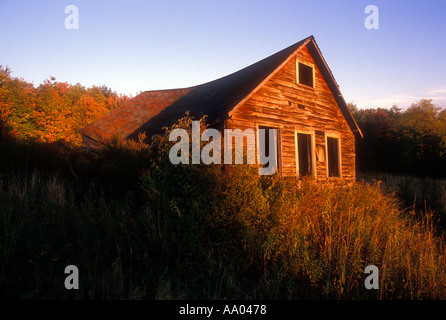 Casa abbandonata nel campo incolto Foto Stock