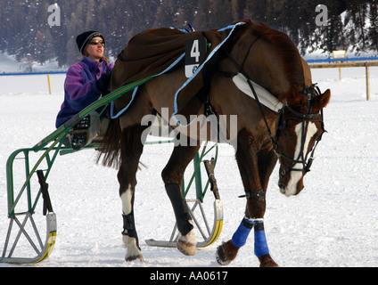Corse di cavalli sul lago ghiacciato di St Moritz Foto Stock